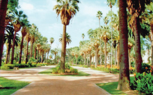 L’Hermitage, un parc centenaire au beau milieu de Casablanca