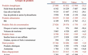 ​Régression des importations  et recul des recettes touristiques