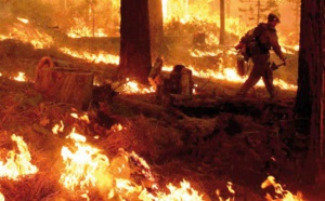 ​Les incendies de forêt dans la région Tanger-Tétouan ont coûté plus de 6 MDH