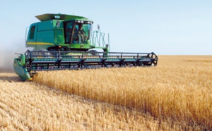 ​La production des céréales à Fès estimée à 4 millions de quintaux