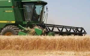 Hausse de la production agricole et baisse des prix