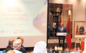 ONEE : Tenue à Casablanca d'une conférence de l'Union arabe de l'électricité