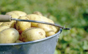 Pour un investissement allant de pair dans les zones urbaines et rurales et dans la protection sociale Pour un investissement allant de pair dans les zones urbaines et rurales et dans la protection sociale