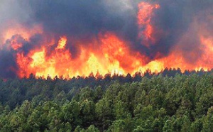 L’Agence nationale des eaux et forêts tenue de faire avec