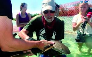 Nager avec des requins aux Bahamas