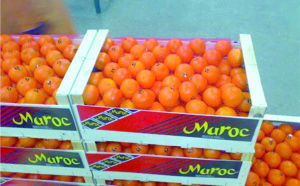 Mission multisectorielle à Casablanca  en préparation d’une B to C en Russie Mission multisectorielle à Casablanca  en préparation d’une B to C en Russie