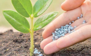 Le Maroc fait don d'engrais aux petits agriculteurs du Guatemala