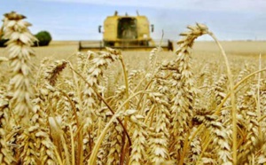 Entre Plan Maroc Vert et Génération Green. L’agriculteur voit rouge