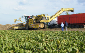 Campagne  agricole record  à Doukkala-Abda