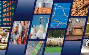 La FAO prévoit une stabilisation de la plupart des marchés des produits alimentaires en 2024-2025