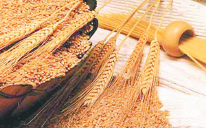 Dame nature booste l’économie nationale Dame nature booste l’économie nationale