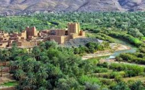 Les potentialités et les opportunités d'investissement dans la région de Drâa-Tafilalet mises en avant