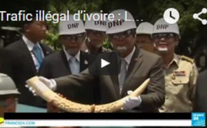  La Thaïlande détruit deux tonnes d’ivoire