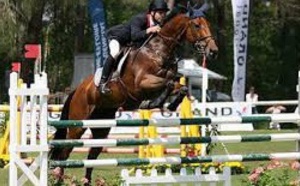 Le gotha du sport équestre se donne rendez-vous au  Morocco Royal Tour 2015