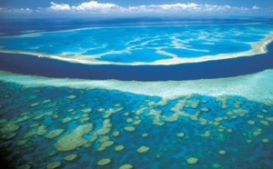 El Niño menace le corail