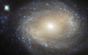 Une étoile mystérieuse agite la communauté des astronomes