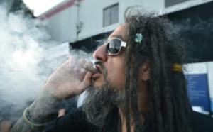 La consommation de cannabis a doublé aux Etats-Unis en dix ans