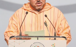 New Delhi octroie 10 milliards de dollars de crédits concessionnels aux pays africains New Delhi octroie 10 milliards de dollars de crédits concessionnels aux pays africains