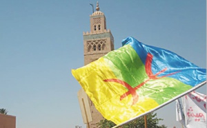 Plus de 700 ONG exigent la mise en œuvre du statut officiel de la langue amazighe