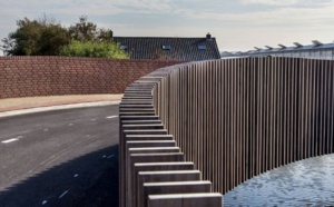 Insolite : Le "batbridge", pont pour chauves-souris