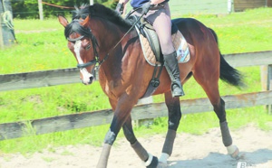 Le cheval Arkaitz remporte  le Grand prix de Sa Majesté le Roi Mohammed VI du pur-sang anglais