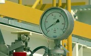Aux Emirats, l'or noir finance l'énergie verte