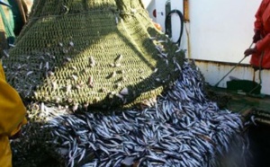 Tendance baissière pour les principaux indicateurs économiques Tendance baissière pour les principaux indicateurs économiques