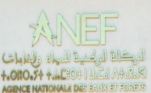 L’ANEF dévoile le Plan directeur d'investissement relatif à la stratégie "Forêts du Maroc 2020-2030" L’ANEF dévoile le Plan directeur d'investissement relatif à la stratégie "Forêts du Maroc 2020-2030"