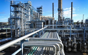 L'industrie chimique génère 5% du chiffre d'affaires industriel L'industrie chimique génère 5% du chiffre d'affaires industriel