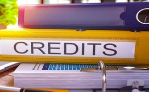 Secteur non financier : croissance du crédit bancaire de 3,3% en janvier Secteur non financier : croissance du crédit bancaire de 3,3% en janvier