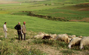 Lancement imminent du Registre national agricole