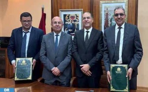 L'ANEF et Eucaforest s'associent pour renforcer l'innovation en matière de plantations forestières L'ANEF et Eucaforest s'associent pour renforcer l'innovation en matière de plantations forestières