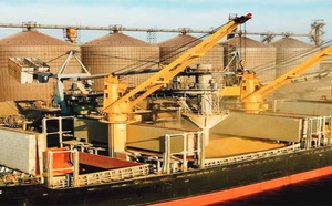 Forte progression des exportations russes de blé vers le Maroc Forte progression des exportations russes de blé vers le Maroc