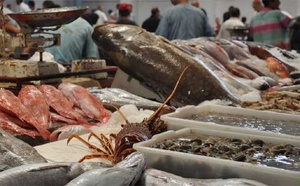 Port de Tanger: Les débarquements de pêche reculent de 11% à fin février Port de Tanger: Les débarquements de pêche reculent de 11% à fin février