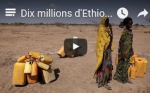 Dix millions d'Ethiopiens au bord de la famine à cause de la sécheresse