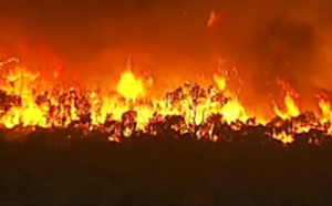 Feux de forêt en Australie