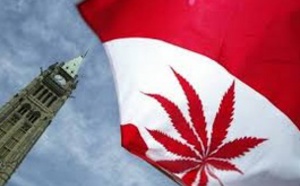 La légalisation du cannabis rapporterait des milliards au Canada