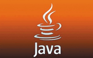 Le plugin Java tire sa révérance