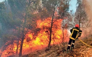 Incendie dans la forêt de Houara : Arrestation d'un individu soupçonné d'incendie volontaire