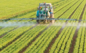 Lancement officiel à Settat du recensement général de l'agriculture