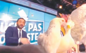 Pour la promotion du film «La Vache», Jamel Debbouze invite des animaux sur un plateau de télévision