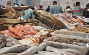 Les recettes issues du commerce du poisson au Maroc ont atteint 2MMDH Les recettes issues du commerce du poisson au Maroc ont atteint 2MMDH