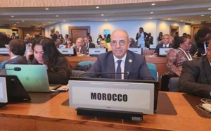 Ouverture du deuxième bilan de l’UNFSS+4