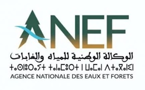 COP15 Ramsar : Le Maroc réaffirme son engagement pour les zones humides et déjoue une tentative de politisation de la Convention