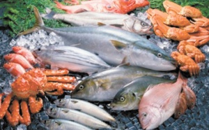 Hausse nette des produits commercialisés de la pêche côtière et artisanale Hausse nette des produits commercialisés de la pêche côtière et artisanale
