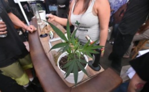 Le cannabis légalisé fait planer l'Amérique