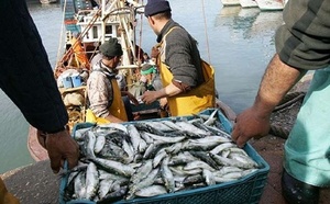 Pêche côtière et artisanale : Des volumes en recul, mais des filières en mutation