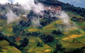 Mise en exergue du rôle central de la culture dans le développement durable et intégré Mise en exergue du rôle central de la culture dans le développement durable et intégré