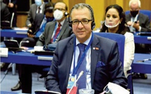 Azzeddine Farhane : La stratégie proactive du Maroc et son engagement diplomatique font du Royaume "une passerelle" entre les continents