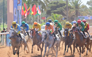 Le cheval "Casa de Campo" remporte la 4ème édition du Grand Prix d'Afrique 2025 des courses hippiques